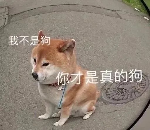 聊天表情包|永远不要相信男人的话