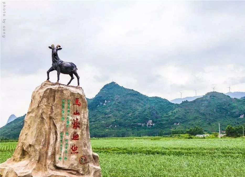 味见山海马山黑山羊篇