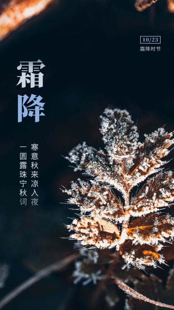 适合霜降发朋友圈的文案图片,霜降祝福问候语句子