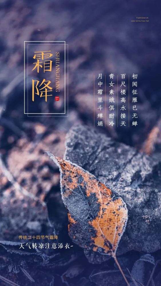 适合霜降发朋友圈的文案图片,霜降祝福问候语句子