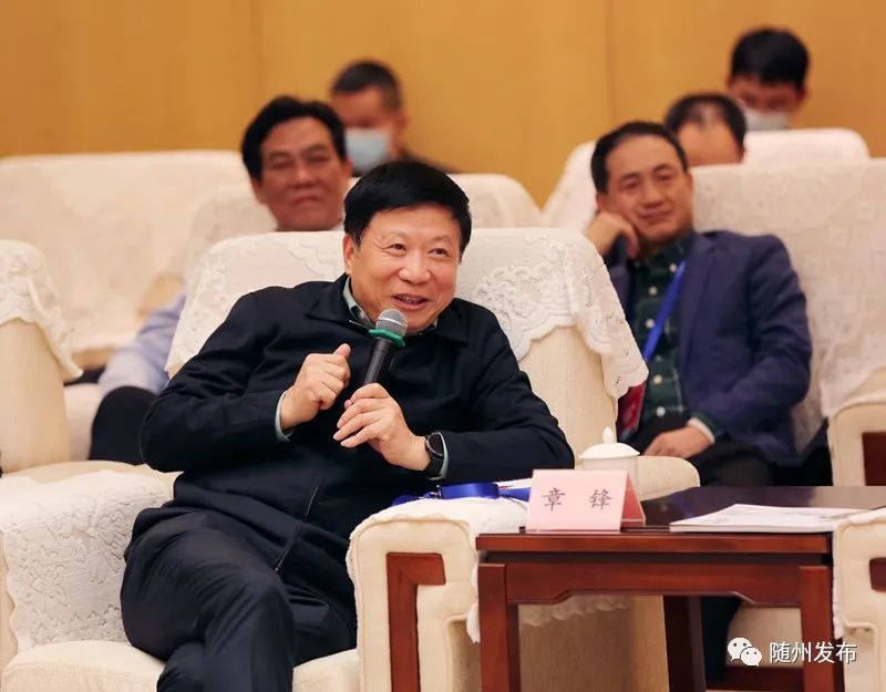 企业家代表刘宝林,成从武,张备,丁明山,林慧,章锋,王均豪,尤明刚