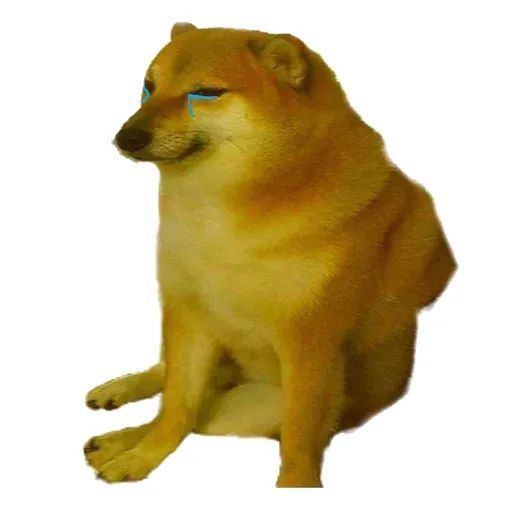 柴犬狗勾表情包