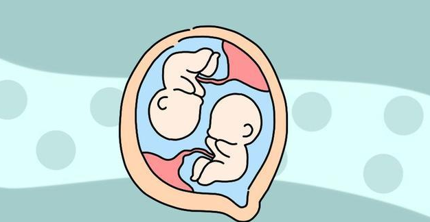 natcommun甲基化图谱揭示同卵双胞胎特有表观遗传特征可反应胚胎发育
