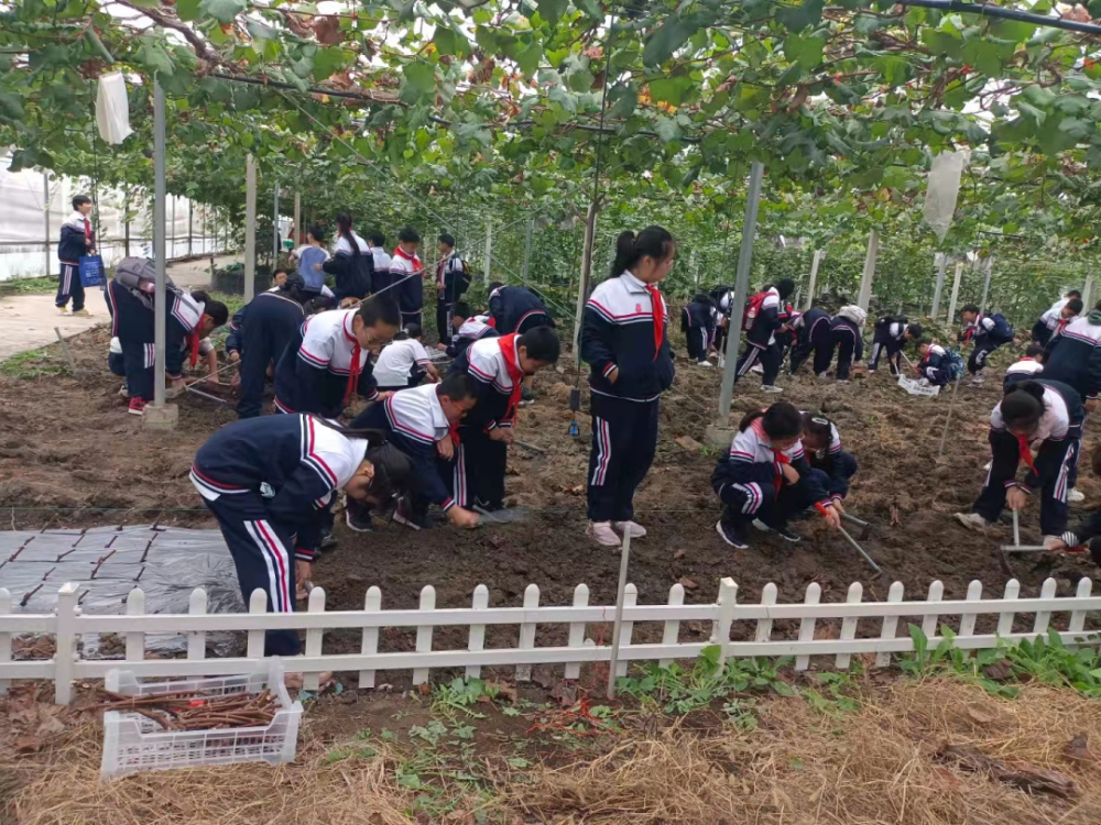 据悉,年内还有2000多名学生来基地开展研学实践教育活动.