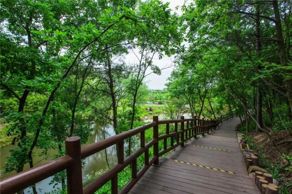 作为第一批 入选"江苏省森林步道" 曹山登山步道, 山幽林密,自然成趣