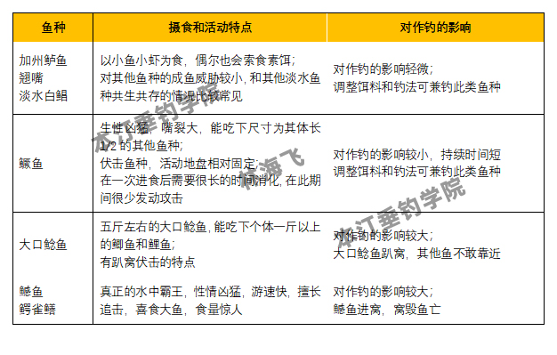 干货|鱼的生长和摄食特点(下)