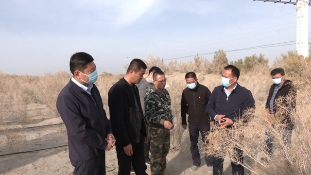 随后,潘万峰来到沙雅县塔克拉玛干沙漠万亩梭梭种植示范基地,2021年防