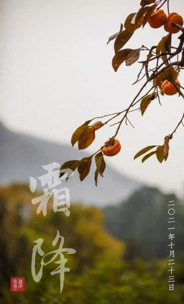 月出有雾日出成霜一袭茫茫青霜半裹住半载风尘天地倏忽一夕秋寒世间的