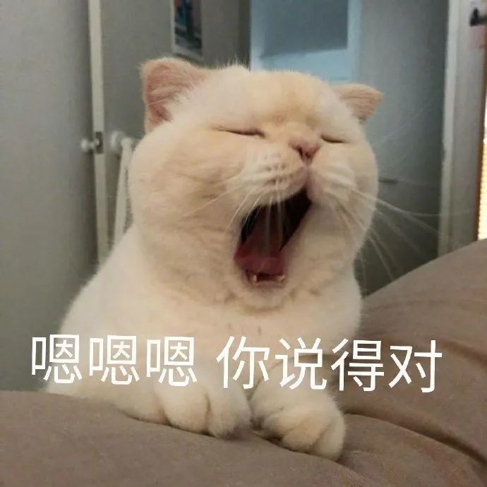 表情包我今天也是可爱到爆了耶