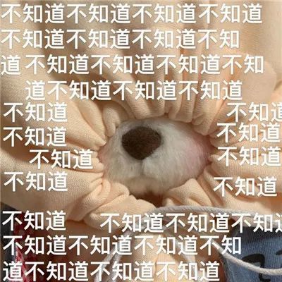 超级可爱的莉娜熊表情包别烦我