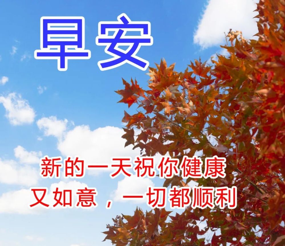 创意好看的早安图片带字祝福语漂亮的早上好表情动态图片带祝福语