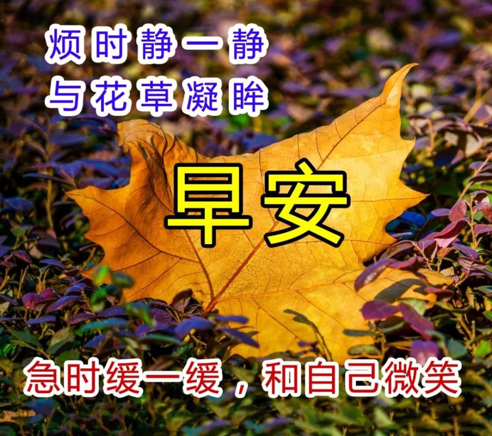 2021年10月24日问候大家早上好的早安祝福语图片,温馨