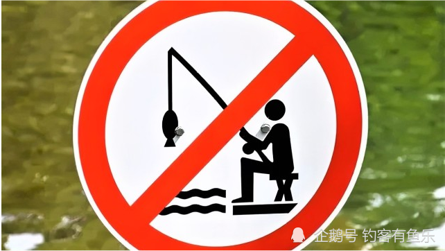 这些钓鱼行为已被禁止需明白哪些鱼能钓哪些鱼不该钓