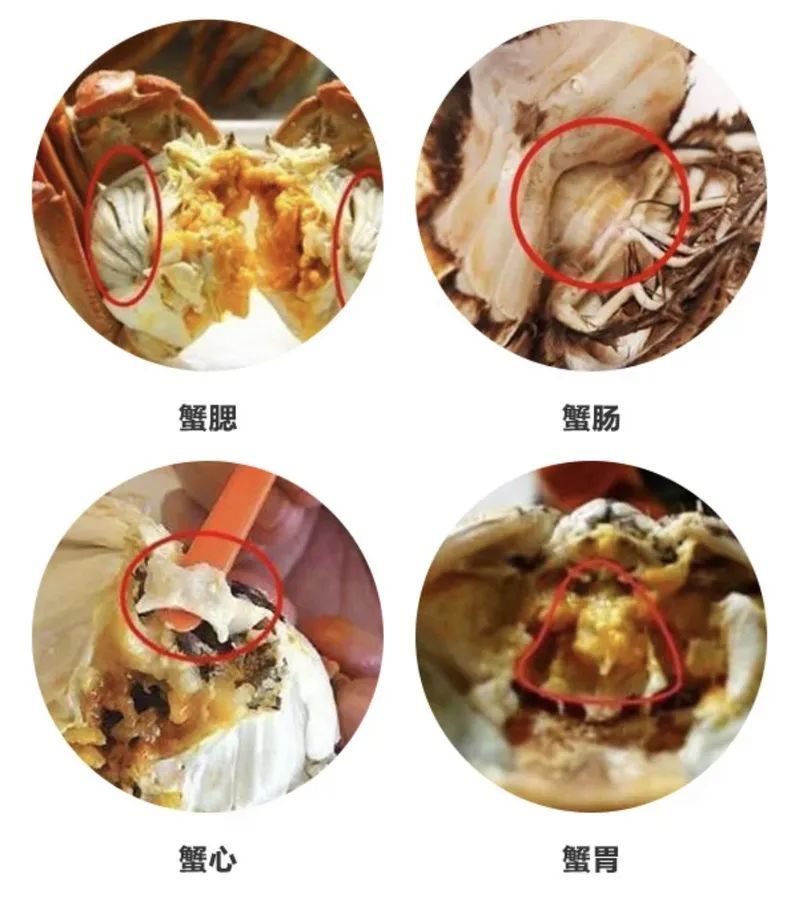 上海人的精致,都在吃大闸蟹里!吃完一只蟹,还能剩一只蟹?