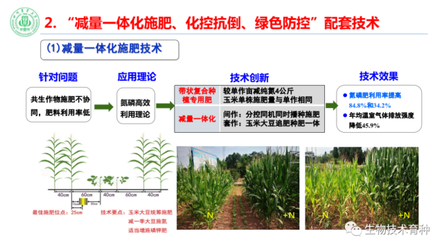 杨文钰:玉米-大豆带状复合种植的主要优势与关键技术