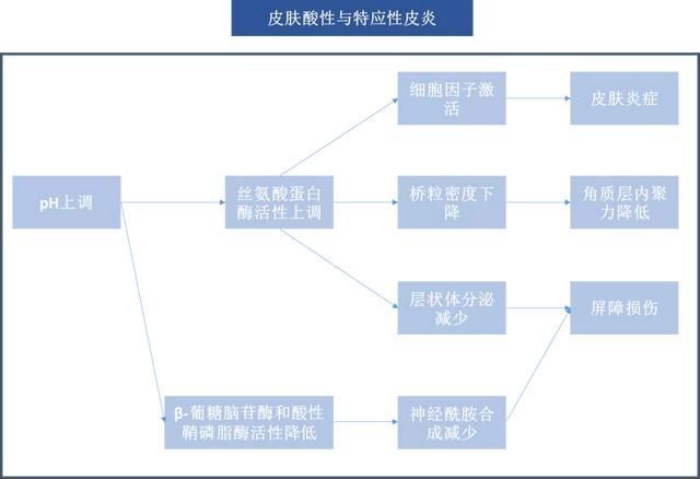 图2 皮肤酸性屏障在特应性皮炎中的发病机制2,接触性皮炎皮肤表面的ph