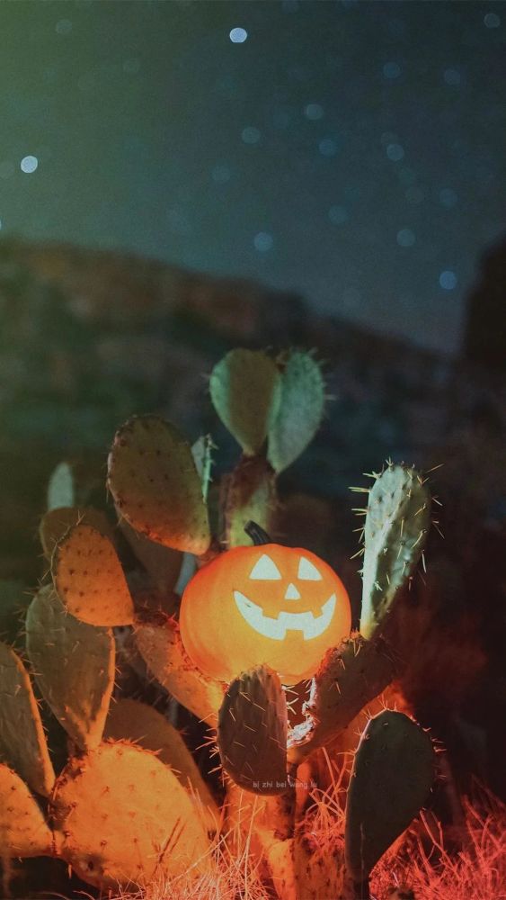 wallpaper壁纸好看的壁纸