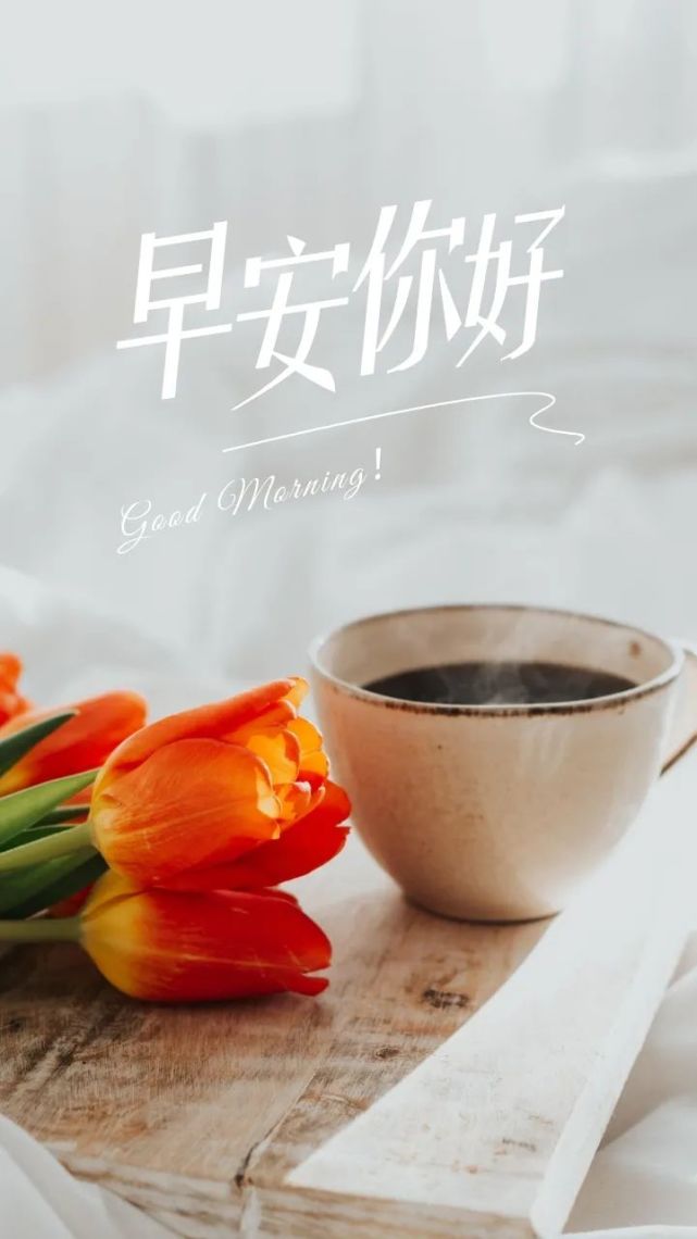今日早安语录励志图片文案