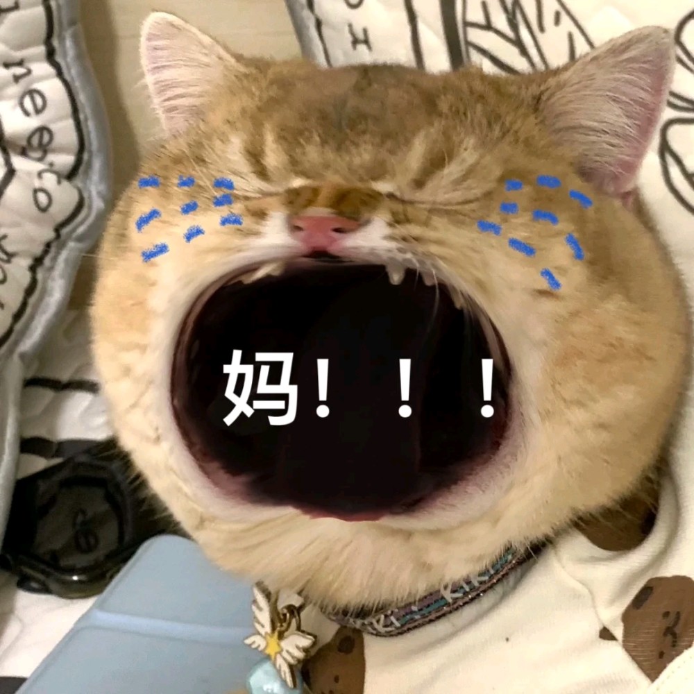 超火的妈宝表情包妈妈是世界上最好的妈妈