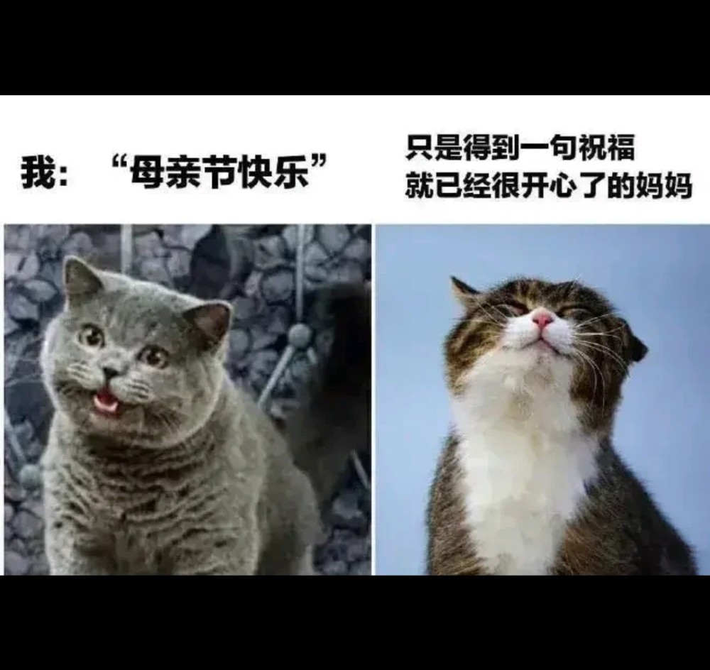 超火的妈宝表情包,妈妈是世界上最好的妈妈