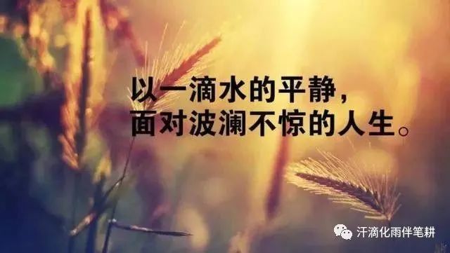 【山西长治 田秀红】原创//人生感悟