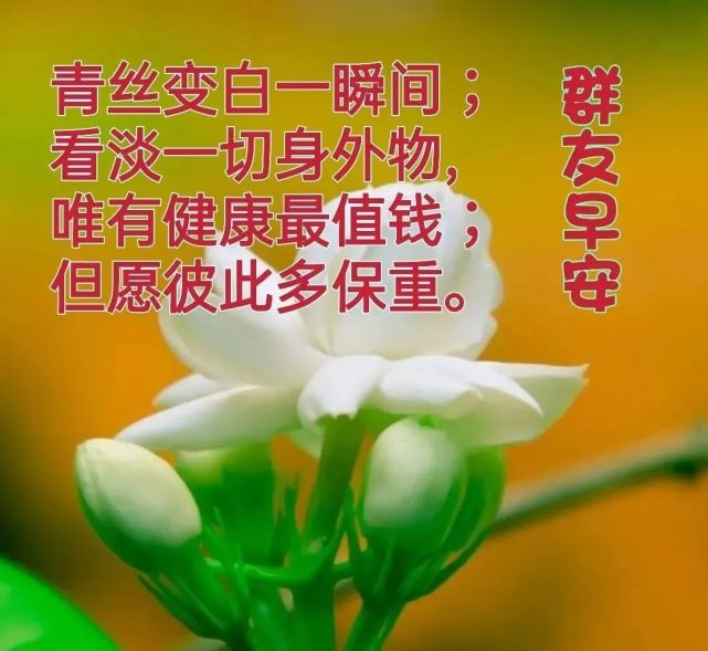 清晨发朋友圈必备的漂亮早上好祝福图片,祝你天天好