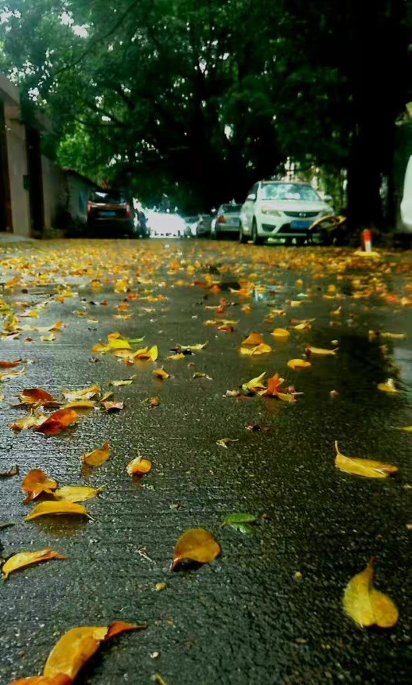 人生时间煮雨岁月缝花