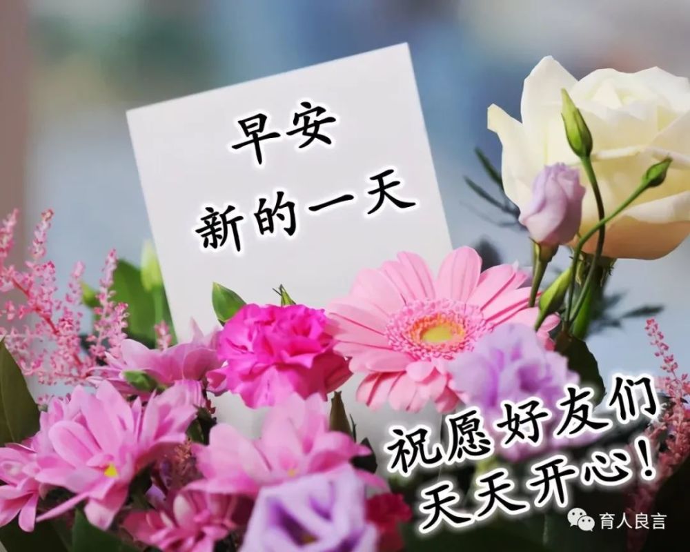 早上好问候句子微信漂亮早安问候表情图片
