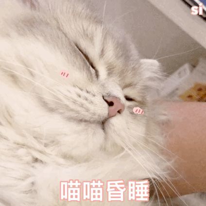 可爱猫猫表情包