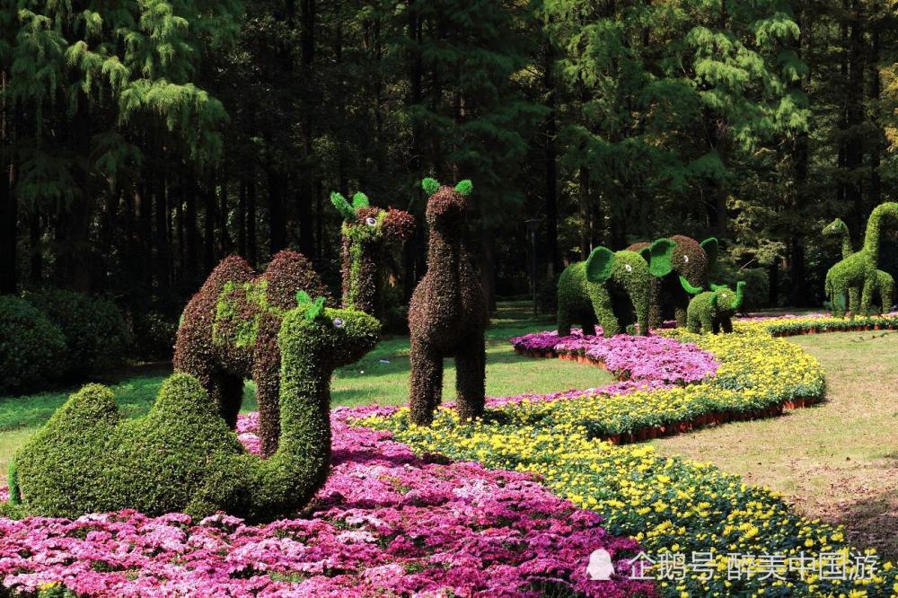 探访太原植物园满园皆风景建筑更独特附带游玩攻略