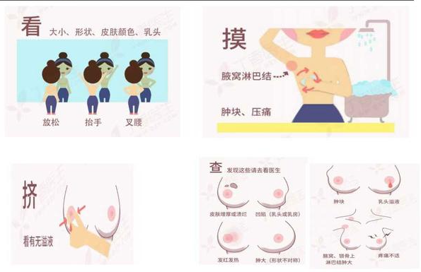 一般用右手摸左边乳房,左手摸右边乳房,顺序一般是从内上