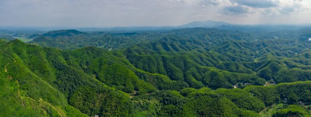 图说|汝城东岗岭山脉是汝城县城的东面屏障.