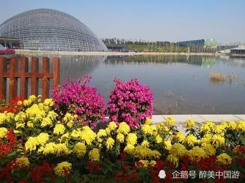 游览太原植物园,建筑风格独特,风景优美,适合结伴出游