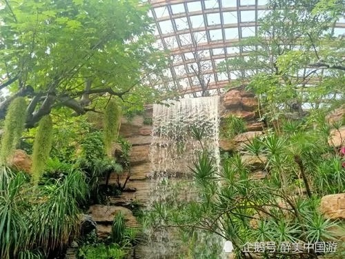 游览太原植物园,建筑风格独特,风景优美,适合结伴出游