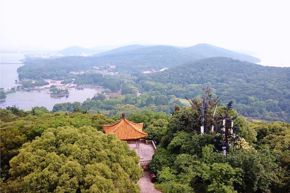 花半天时间巧玩鼋头渚登顶鹿顶山精华景点一个不落太美了