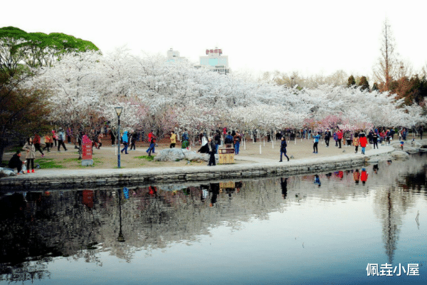 而景区内的主要景点都分布在樱花园,留春园,中山岛,远香园和引水湖等