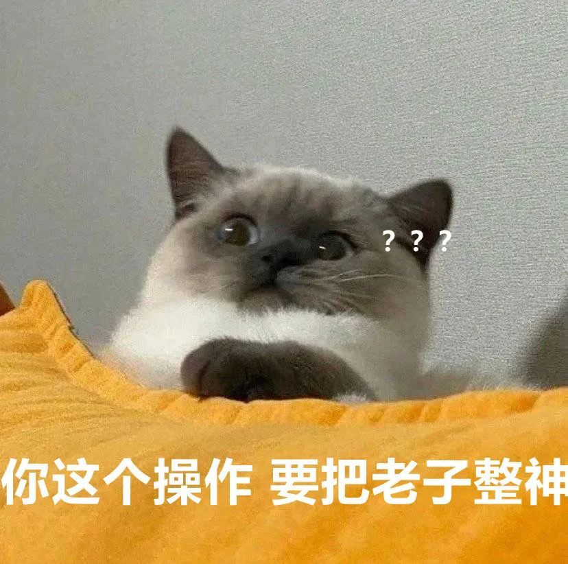 50个聊天很火的煤球猫咪表情包可爱的上头