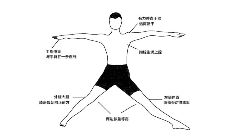 瑜伽体式精讲 三角伸展式 细节展示 一目了然