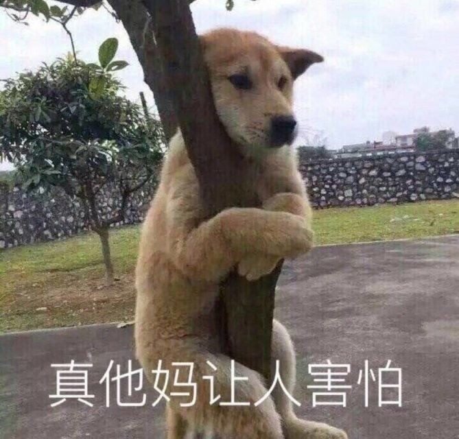 斗图不会输的表情包326期