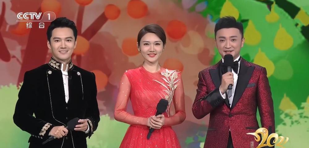 离开中国诗词大会之后央视主持人龙洋去哪了
