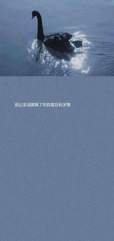 一组很高级的抖音配图