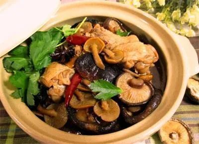 小鸡炖蘑菇的功效丨餐厅营养宣传