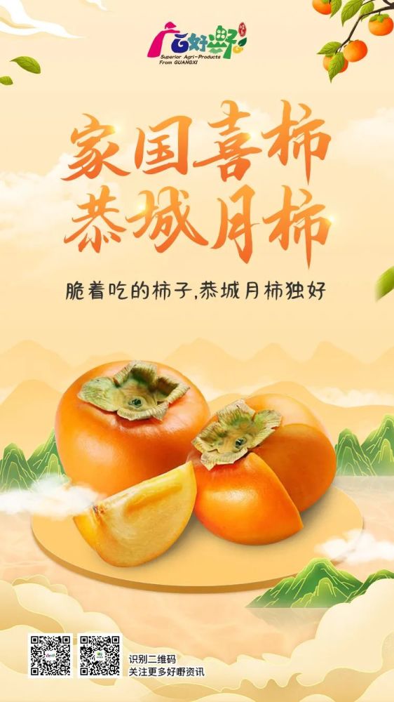 家国喜柿 恭城月柿