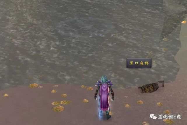 魔兽世界:60轮回服艾萨拉钓鱼致富攻略,老渔夫们的