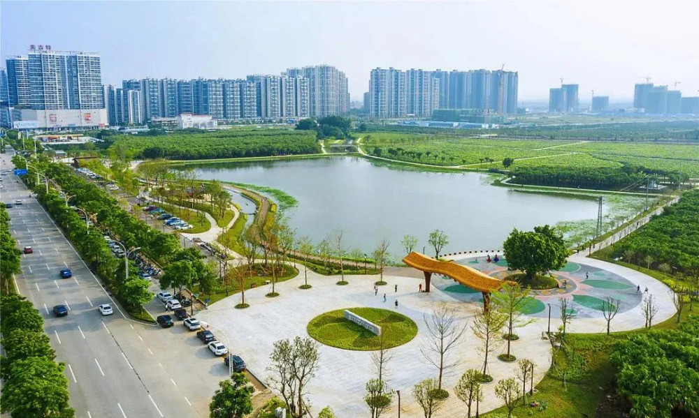 图|梅江农业生态(来源:相约新会)