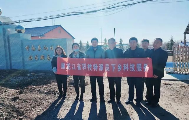交流中了解到,奋斗乡的养蜂生产存在蜜蜂饲养人员老龄化严重,蜜蜂品种