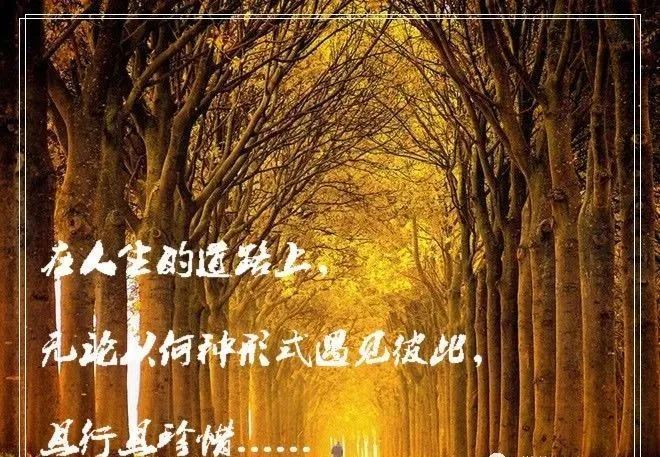将痛苦埋藏在心底,学会放弃,留下简单的身影.