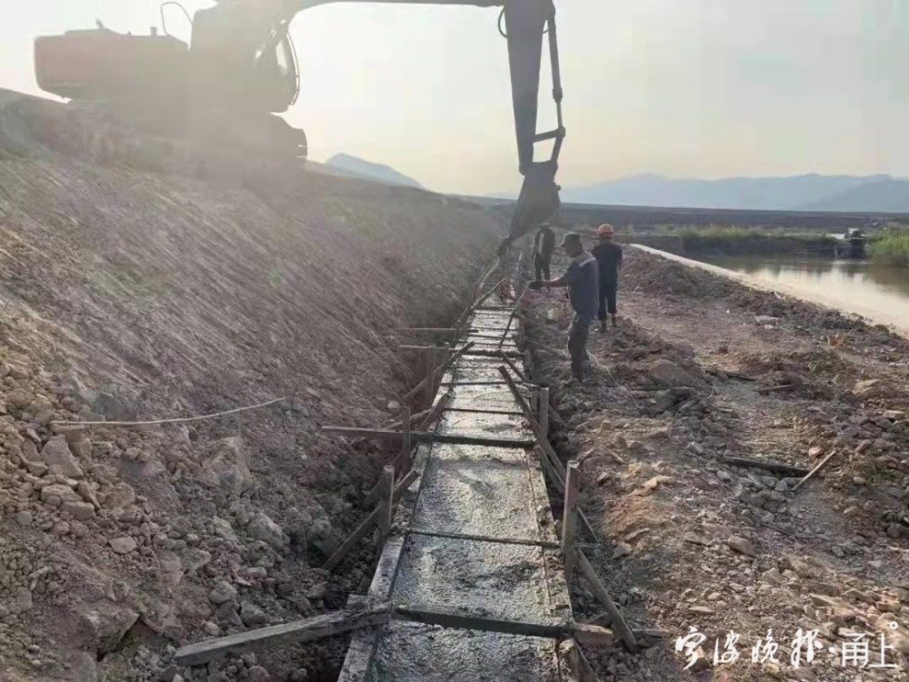 来源 宁波晚报 记者 边城雨 通讯员 吕玫瑶 许巧红 编辑 施忆秋一审