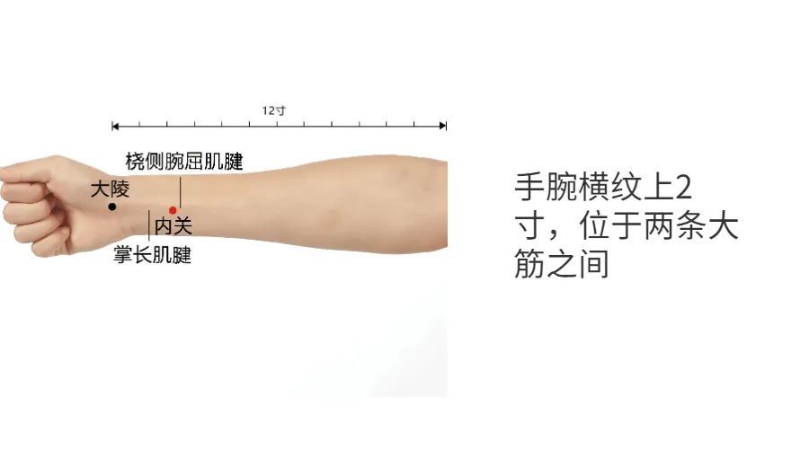 故而取之 「位置」:手肘横纹中点,上2寸,两大大筋之间