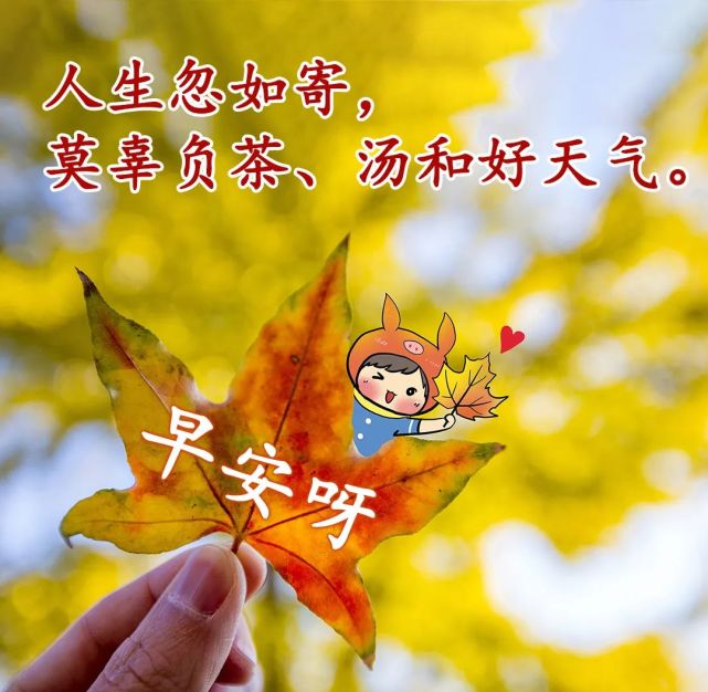 创意好看的早安图片带字祝福语,漂亮的早上好表情图片